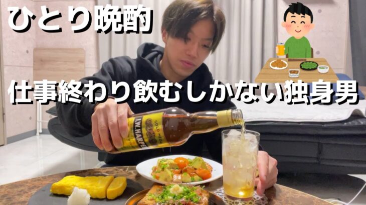 【宅飲み】仕事終わり飲むしかない酒飲み独身男の一人晩酌