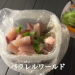 【独身貴族ソロキャンプツーリング】男の夢！淡路島で釣った魚でソロキャンプメシ！