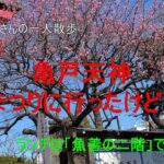 【アラ還おばさんの一人散歩】亀戸天神の梅まつりで梅を愛で、「魚善の二階」でコスパ最強の海鮮丼に舌鼓