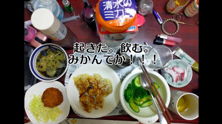 無職　メンヘラ独身女性の一人飲み　ママ餃子　茄子の揚げびたし他