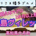 【高知県大月町】ここでしか味わえない熟成マグロ「栢島ヴィレッジ」vlog