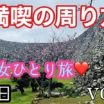 【沖縄】女ひとり旅❤️沖縄旅行の楽しみ方✈️今帰仁城跡🏯本場タコス🌮【道の駅】沖縄観光vol.3 名護最強のユタ渡具知綾子さん❤️ハートロック♥️古宇利島