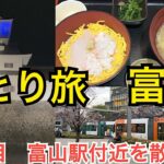 さすらい一人旅！富山観光1日目　富山グルメと街ブラ　富山の歓楽街桜木町　富山駅付近を散歩