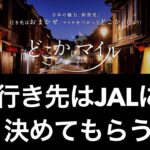 【男ひとり旅】どこかにマイルをやってみたら初めての場所だった！【JAL】旅ガチャ