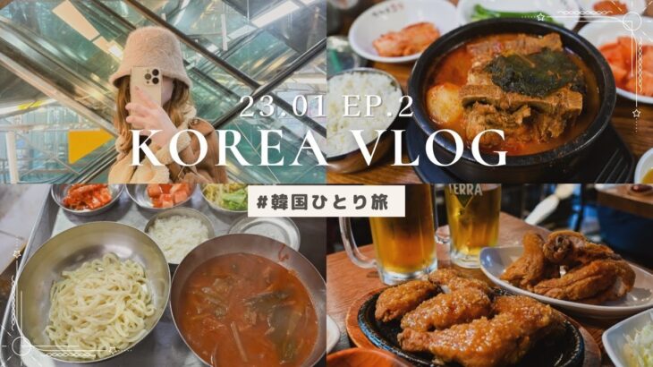 【韓国旅行Vlog】23.01 EP.2  / 韓国ひとりご飯！南大門、emartでお買い物をして、夜はチキンとビールでチメクしたVLOG！