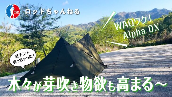 【WAQ初張りソロキャンプ】木々が芽吹き、物欲も芽吹く！新幕”WAQ Alpha TC solo DX”の初張りキャンプの様子を、NEWギア満載でお届けします！＠昇仙峡オートキャンプ場