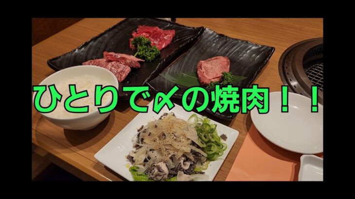 飲み会後にひとりで〆の焼肉