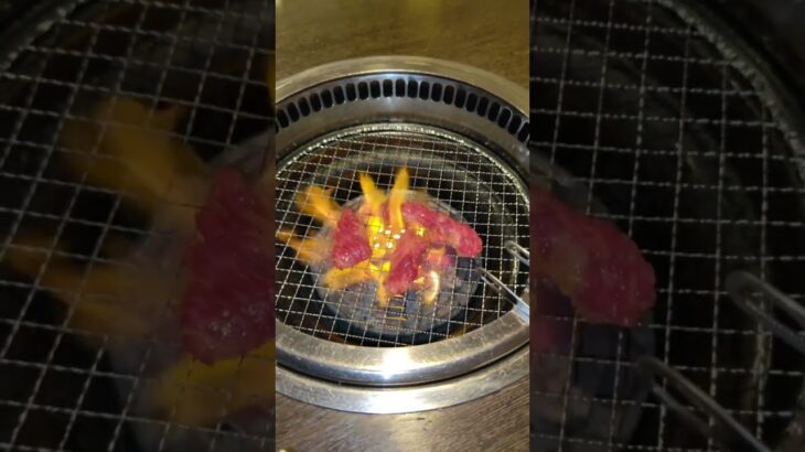 【おひとりさま最高】年度末の仕事が完了したので焼肉やってみた【孤独のグルメ】