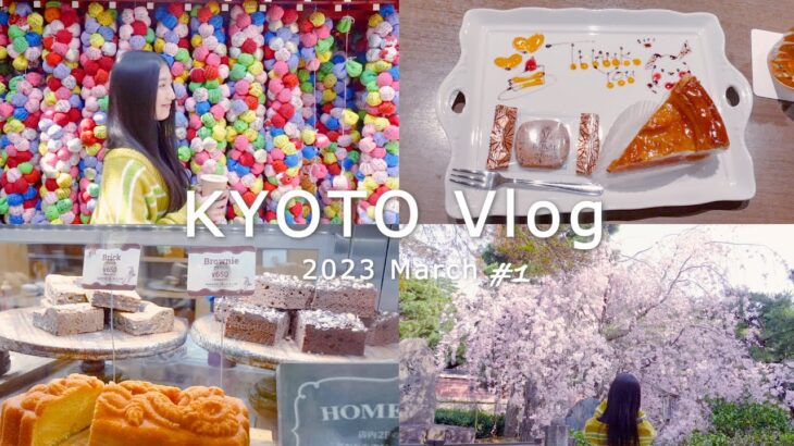 ケイト旅#1 【女一人旅Vlog】1泊2日|桜が綺麗すぎる🌸|行きたいところを詰め込んだ春の京都旅| Solo female travel in kyoto