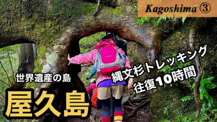 屋久島4泊5日女ひとり旅。フェリーに乗って屋久島へ🛳最大の老樹縄文杉へ会いに行く！【鹿児島旅行vlog#3】