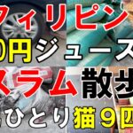 【57歳独身男一人旅】フィリピンの川沿いのスラムをブラブラ散歩【男ひとり猫９匹Vlog】