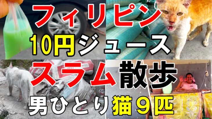 【57歳独身男一人旅】フィリピンの川沿いのスラムをブラブラ散歩【男ひとり猫９匹Vlog】