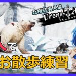 【Dread Hunger】一人でお散歩練習テスト 【ドレッドハンガー/ドレハン/航海人狼】