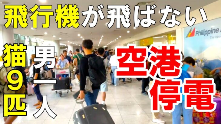 【シニア一人旅】孤独な男　フィリピンへ来たら停電で飛行機が飛びません【男ひとり猫９匹Vlog】