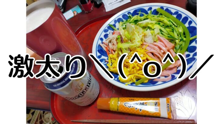 無職　メンヘラ独身女性の一人飲み　過食症　激太り＼(^o^)／