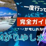 【沖縄観光スポット】50歳女ひとり旅で行ってよかったDMMかりゆし水族館／１度は行くべき新名所／出来るだけご紹介