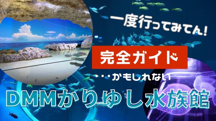 【沖縄観光スポット】50歳女ひとり旅で行ってよかったDMMかりゆし水族館／１度は行くべき新名所／出来るだけご紹介