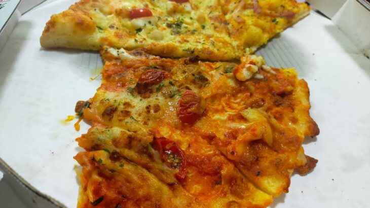 わーいパパがくれたー　無職　メンヘラ独身女性の一人飲みin子供部屋　PIZZA-LA　Lサイズ