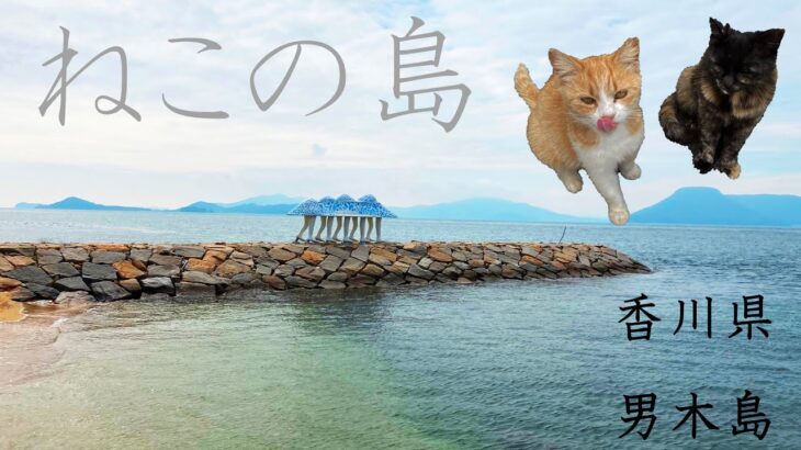 猫の島ひとり旅（香川県男木島）猫好き必見☆絶対行きたくなる猫だらけ島！まさかの強烈大喧嘩も勃発…!!