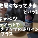 【札幌も暑くなってきました…という話とか】女一人宅飲み「無限キャベツ」ポリフェノールでおいしさアップの赤ワイン 乳酸菌プラス