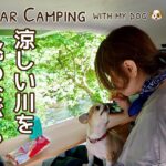 【50代女子ソロカーキャンプ】】涼しい森と川を眺めながら犬連れ車中泊｜山光荘オートキャンプ｜Solo Car camping with my dog. Vlog［25］