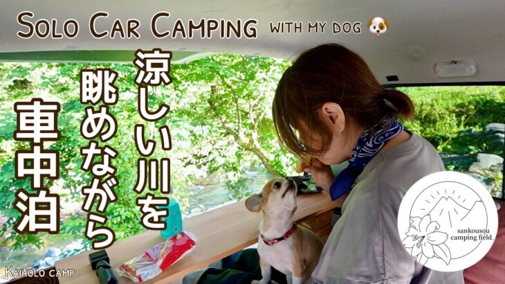 【50代女子ソロカーキャンプ】】涼しい森と川を眺めながら犬連れ車中泊｜山光荘オートキャンプ｜Solo Car camping with my dog. Vlog［25］