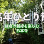 (Kamakura Vlog)中高年一人散歩 新緑の鎌倉を楽しむため鎌倉最古の寺杉本寺に行ってきた