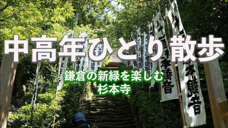 (Kamakura Vlog)中高年一人散歩 新緑の鎌倉を楽しむため鎌倉最古の寺杉本寺に行ってきた