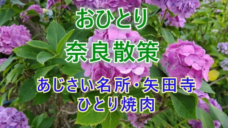 おひとり・紫陽花の名所矢田寺と一人焼肉