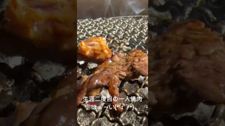 生涯二度目の一人焼肉