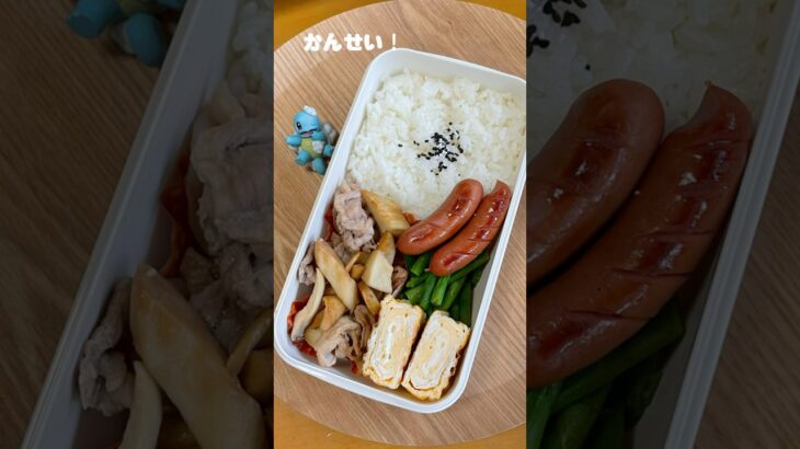 エリンギって何でこんなに美味しいの？ #毎日弁当 #ずぼら飯 #ひとりごはん #自炊 #vlog #お弁当 #簡単レシピ #ずぼら弁当