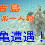 【宮古島】中年男の一喜一憂旅【海ガメ】