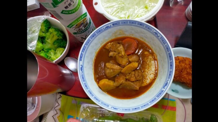 深夜の無職　メンヘラ独身女性の一人飲み　【遠軽】えんがるスープカレースパイシーチキンをほうばりながら