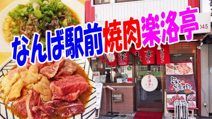 行きたかった焼肉店【一人焼肉】南海なんば駅前の老舗焼肉店に潜入！名物お肉６点盛が旨い！≪焼き肉≫≪ホルモン≫楽洛亭