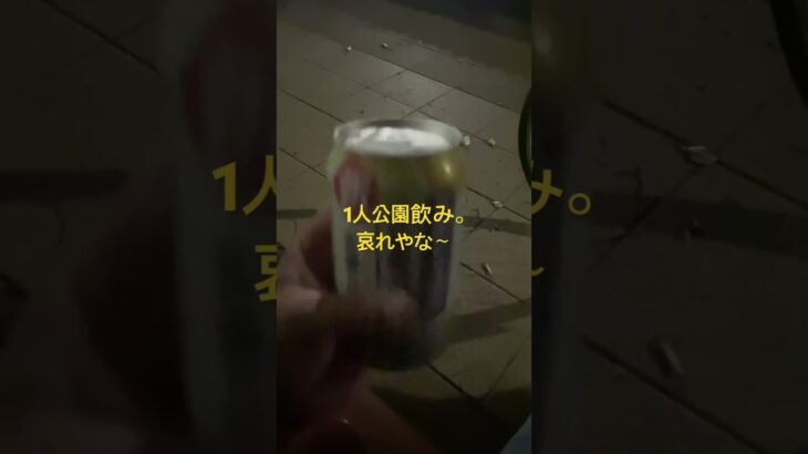 夏休みも終わる中年男の一人飲み　#公園ぼっち　#中年男性 #哀れ