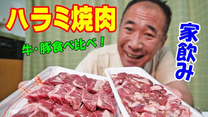 牛豚ハラミ焼肉【一人焼肉】牛ハラミ肉と豚ハラミ肉の食べ比べ晩酌！焼野菜もあるよ～！≪肉≫≪焼肉≫≪飯≫