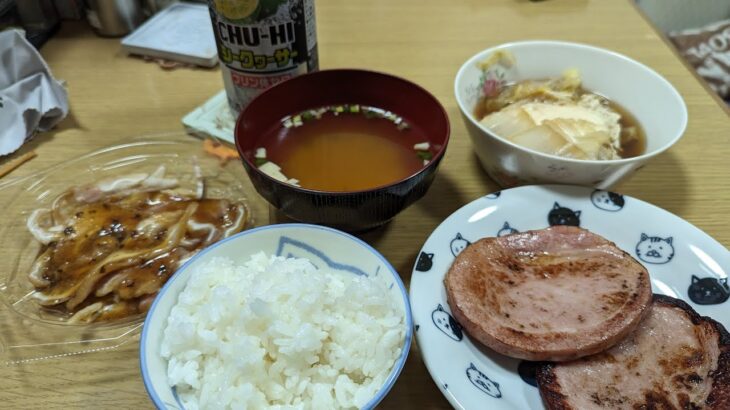 20230921休日アル中ギャンブル依存症ド底辺おっさん地獄のひとり夕食（´・ω・`）