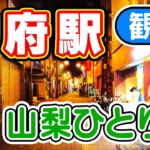 【山梨ひとり旅】山梨県 甲府駅 周辺のグルメや 甲府 の観光スポットを 街ぶら散策しながら旅行気分で 居酒屋など2軒飲み歩き　仕事の山梨出張ついでに男一人旅行VLOG