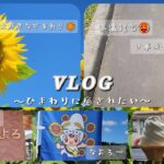 〖DriveVlog〗だいすきなひまわりを見に行く休日🌻おひとり様ドライブ/大自然/北海道/ひまわり2023