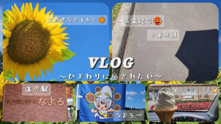 〖DriveVlog〗だいすきなひまわりを見に行く休日🌻おひとり様ドライブ/大自然/北海道/ひまわり2023