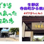 【あずき婆　生まれ育った街を散歩　生野区　寺田町から桃谷】シニアの一人散歩