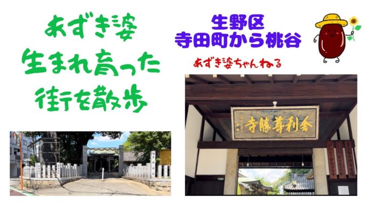 【あずき婆　生まれ育った街を散歩　生野区　寺田町から桃谷】シニアの一人散歩