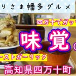 【高知県四万十町】四万十ポークをガッツリ食べるなら「味覚（みかく） 」vlog
