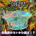 【男ひとり旅】奈良県に行く！金魚ミュージアムがヤバ過ぎた！生物界のちいかわ発見！？2023年8月2日目編