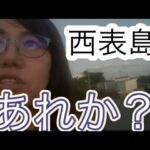 【オオコウモリ探し】西表島生ライブ感溢れるお散歩🤣#ゆゆ由　#一人旅 #病気の治し方🤣#フェリーで45分　#iriomotesland #japan #おおこうもり　#聴き流し系　#50代を愉しむ