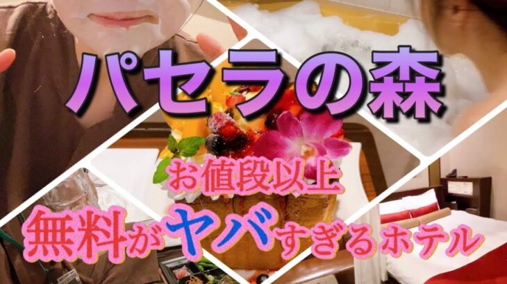 〈女ひとり旅〉横浜・パセラの森／バータイムは最大8時間食べ飲み放題！24時間の無料サービスが盛りだくさん！満足しかさせないホテル。