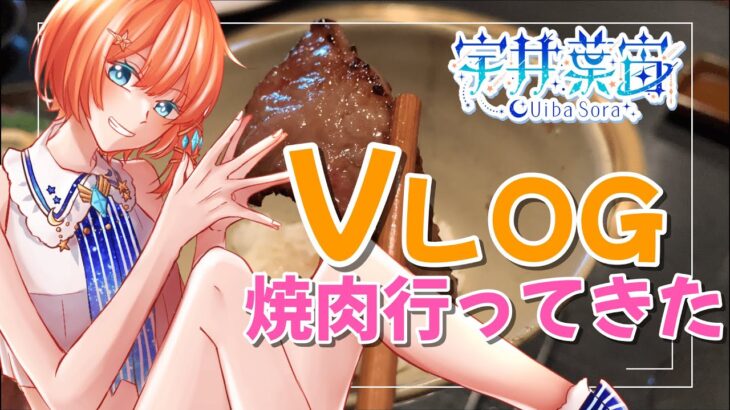 【 Vlog / 5か月記念 】記念日なので、 一人焼肉 行ってきた！ 【 ずんだもん 】#宇井葉宙 #vtuber