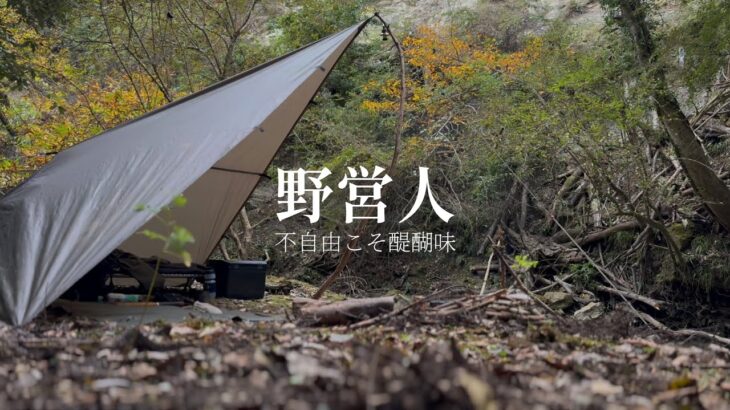 山で野営ソロキャンプ|ダイヤモンド張りタープ泊|雷鳥飯盒水蒸気調理|bushcraft in japan