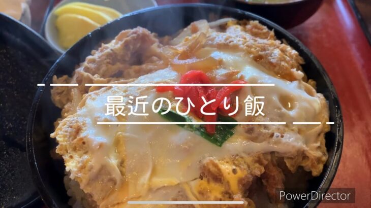 最近のひとり飯