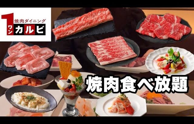 【食べ放題】ワンカルビで焼肉食べ放題!!全品食べ放題コース3,980円!!新年からぼっちで焼肉大食い🍖